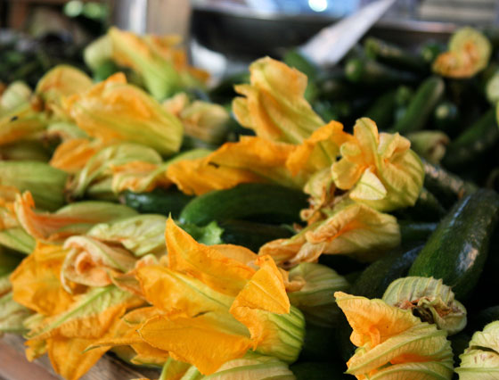 Courgette-Flowers